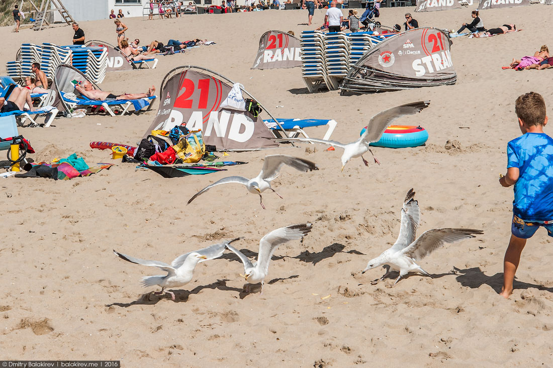 Zandvoort